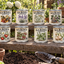 Autumn Harvest - Scented Candle