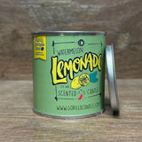 Alex's Lemonade Stand - Watermelon Lemonade Candle for a Cause.